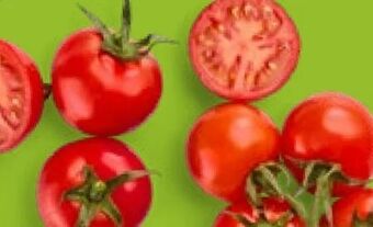 Aldi Nord Mini-rispentomaten Angebot