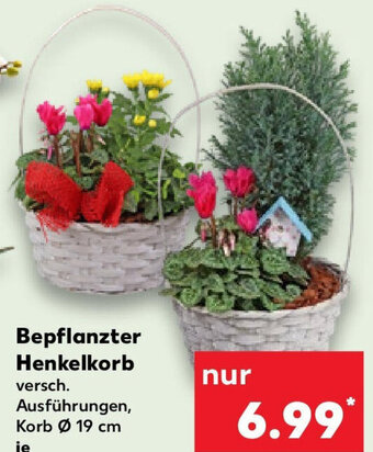 Kaufland Bepflanzter Henkelkorb Angebot