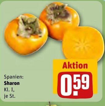 REWE Sharon Angebot