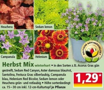 Norma Herbst Mix Angebot