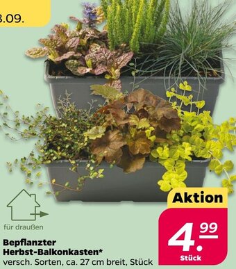 NETTO Bepflanzter Herbst-Balkonkasten Angebot