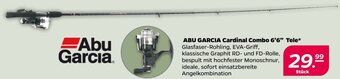 NETTO ABU GARCIA Cardinal Combo 6'6" Tele Angebot