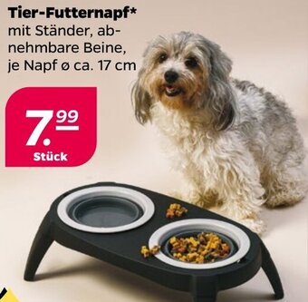 NETTO Tier-Futternapf Angebot