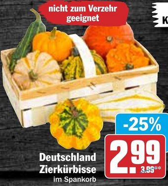 HIT Deutschland Zierkürbisse Angebot