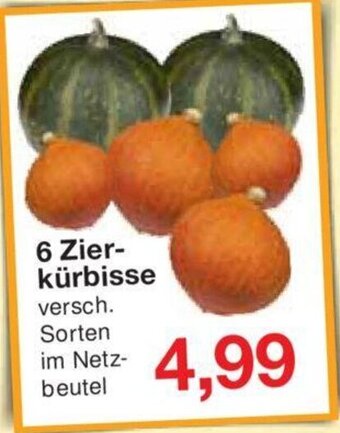 Jawoll 6 Zierkürbisse Angebot