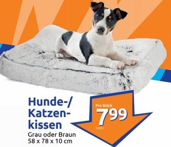 Action Hunde/Katzenkissen Angebot