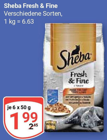 Globus Sheba Fresh & Fine 6x50 g Angebot