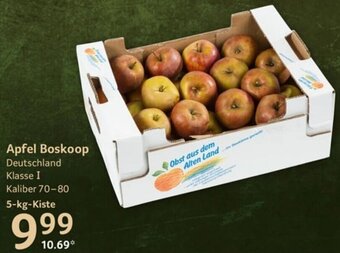 Selgros Apfel Boskoop 5-kg-Kiste Angebot