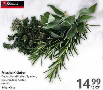 Selgros Quality Frische Kräuter 1-kg-Kiste Angebot