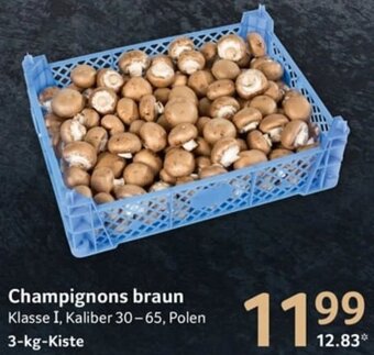 Selgros Champignons braun 3 kg Kiste Angebot