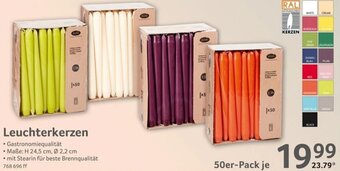 Selgros Leuchterkerzen 50er-Pack Angebot