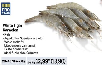 METRO White Tiger Garnelen 20-40 Stück Angebot