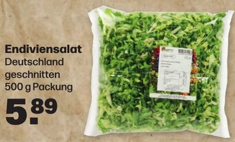 Handelshof Endiviensalat Deutschland 500 g Packung Angebot