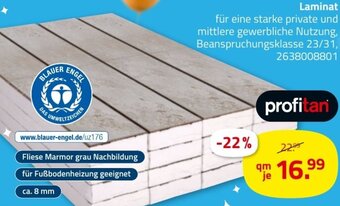 ROLLER profitan Laminat Angebot