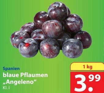 Famila Nord Ost Spanien blaue Pflaumen Angeleno 1 kg Angebot