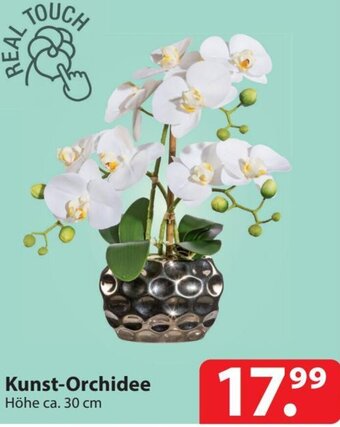 Famila Nord Ost Kunst-Orchidee Höhe ca. 30 cm Angebot