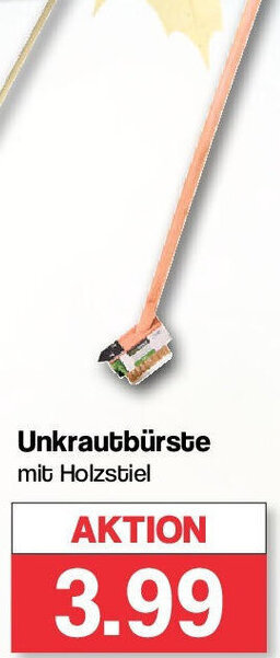Famila Nord West Unkrautbürste Angebot