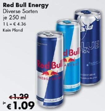 Travel Free Red Bull Energy 250 ml Angebot
