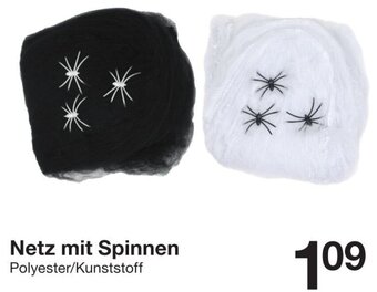 Zeeman Netz mit Spinnen Angebot