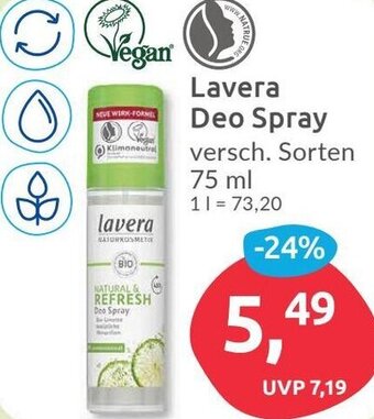 Budni Lavera Deo Spray 75 ml Angebot