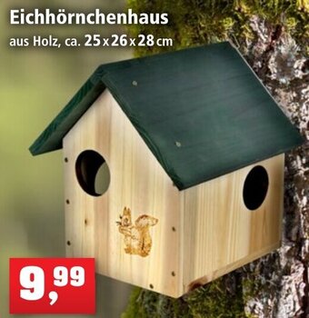 Thomas Philipps Eichhörnchenhaus Angebot