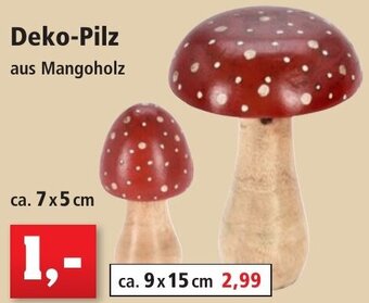 Thomas Philipps Deko-Pilz Angebot