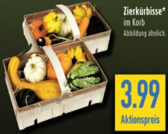 diska Zierkürbisse Angebot