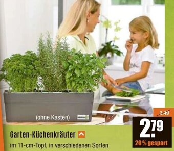 V Baumarkt Garten-Küchenkräuter Angebot