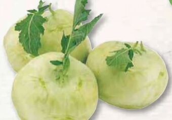 Edeka Frischemarkt Kohlrabi Angebot