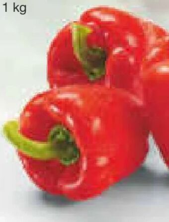 Netto Marken-Discount Paprika rot Angebot