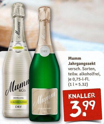 nahkauf Mumm Jahrgangssekt 0,75 L-Fl. Angebot