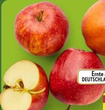 Aldi Nord Tafelapfel Angebot