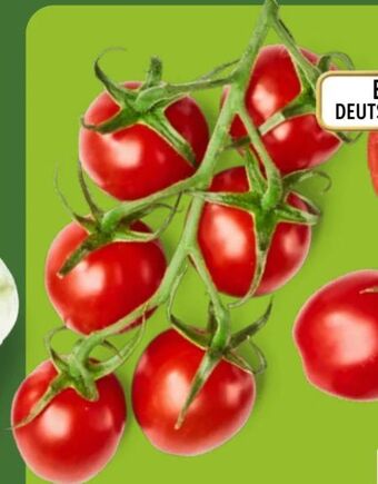 Aldi Nord Mini cherryrispentomaten Angebot