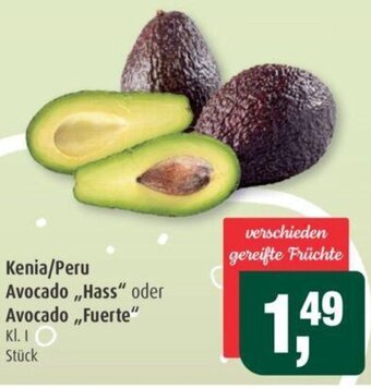 Markant Avocado ,,Hass" oder Avocado ,,Fuerte" Angebot