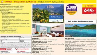 Netto Marken-Discount SPANIEN - Orangenblüte auf Mallorca Angebot