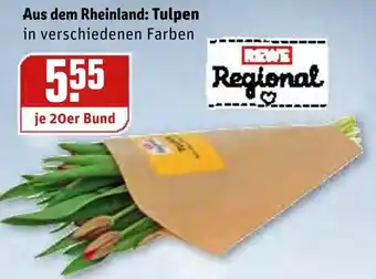 REWE Kaufpark Aus dem Rheinland: Tulpen 20er Bund Angebot