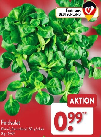 Aldi Nord Feldsalat 150 g Schale Angebot