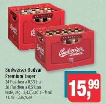 Markant Budweiser Budvar Premium Lager 20*500/24*330ml Angebot