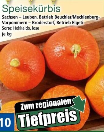 Norma Speisekürbis Angebot