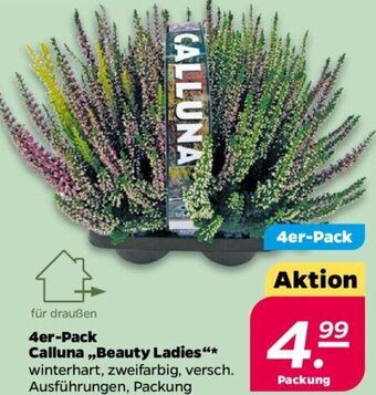 NETTO 4er-Pack Calluna Beauty Ladies Angebot