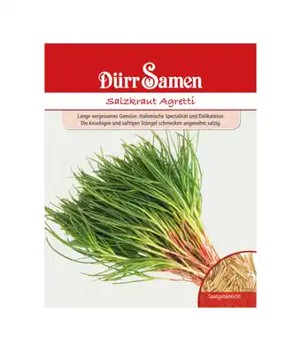 Dehner Dürr samen salzkraut 'agretti' Angebot