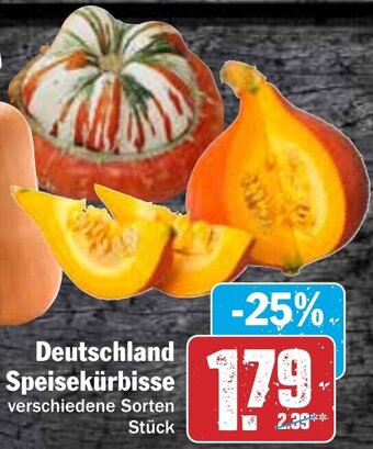 HIT Deutschland Speisekürbisse Angebot