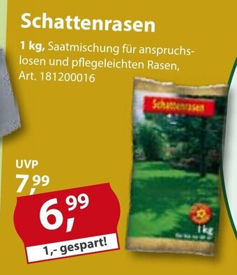 Sonderpreis Baumarkt Schattenrasen 1kg Angebot