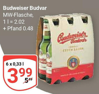 Globus Budweiser Budvar 6 x 0,33 l Angebot