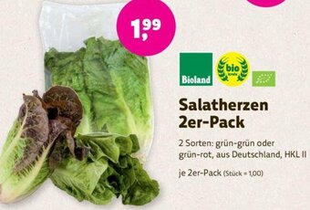 Denns BioMarkt Bioland Salatherzen 2er-Pack Angebot