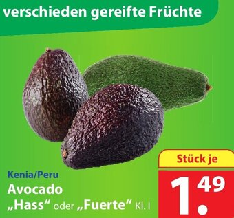 Famila Nord Ost Kenia/Peru Avocado Hass oder Fuerte Angebot