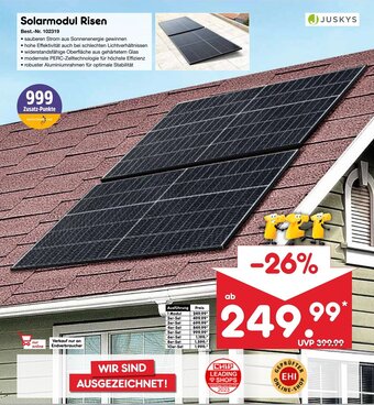 Netto Marken-Discount Solarmodul Risen Juskys Angebot