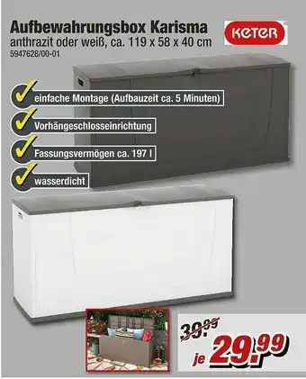 Poco Keter Aufbewahrungsbox Karisma Angebot