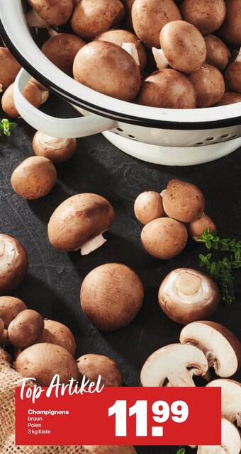 Handelshof Champignons braun 3 kg Kiste Angebot