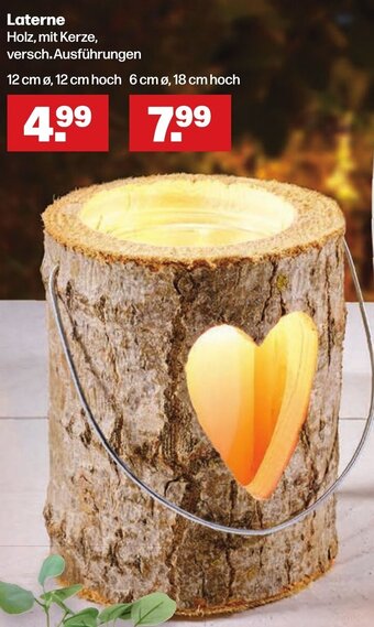 Handelshof Laterne Angebot